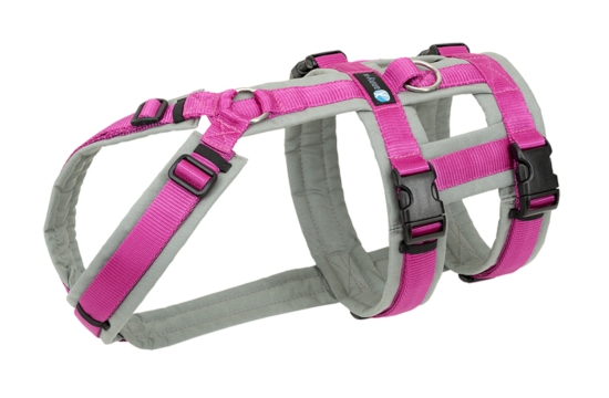 annyx Brustgeschirr Safety Fun grau/pink